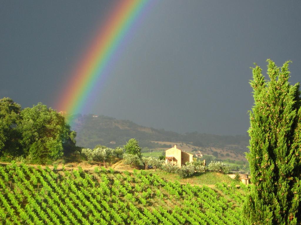 Agriturismo La Campana Villa Montefiore dell'Aso Bagian luar foto