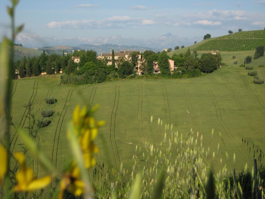 Agriturismo La Campana Villa Montefiore dell'Aso Bagian luar foto