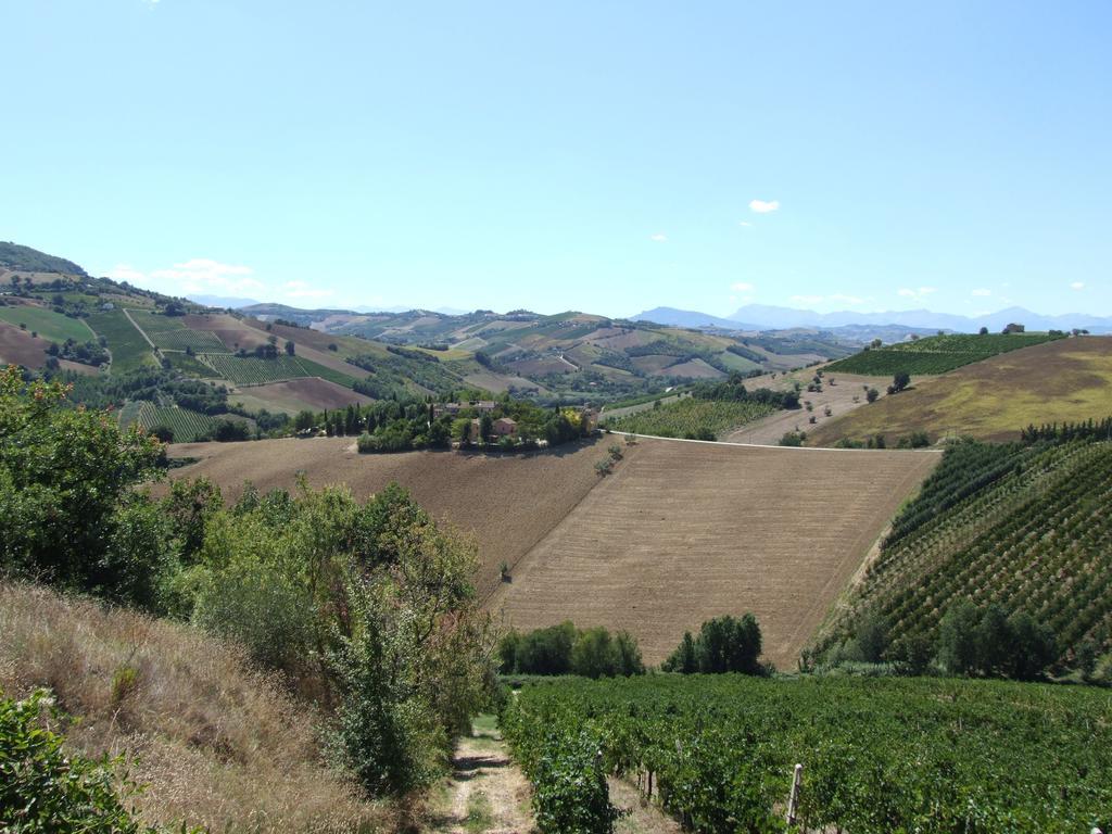 Agriturismo La Campana Villa Montefiore dell'Aso Bagian luar foto