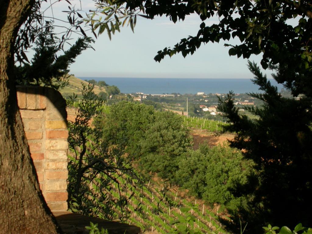 Agriturismo La Campana Villa Montefiore dell'Aso Bagian luar foto